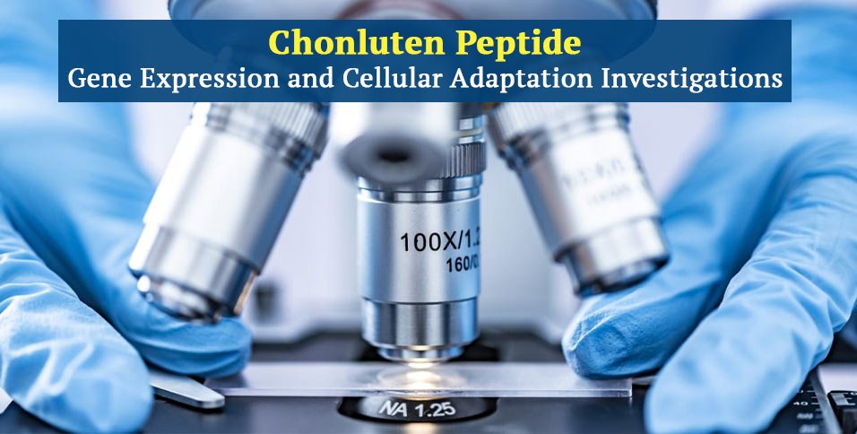 Chonluten Peptide