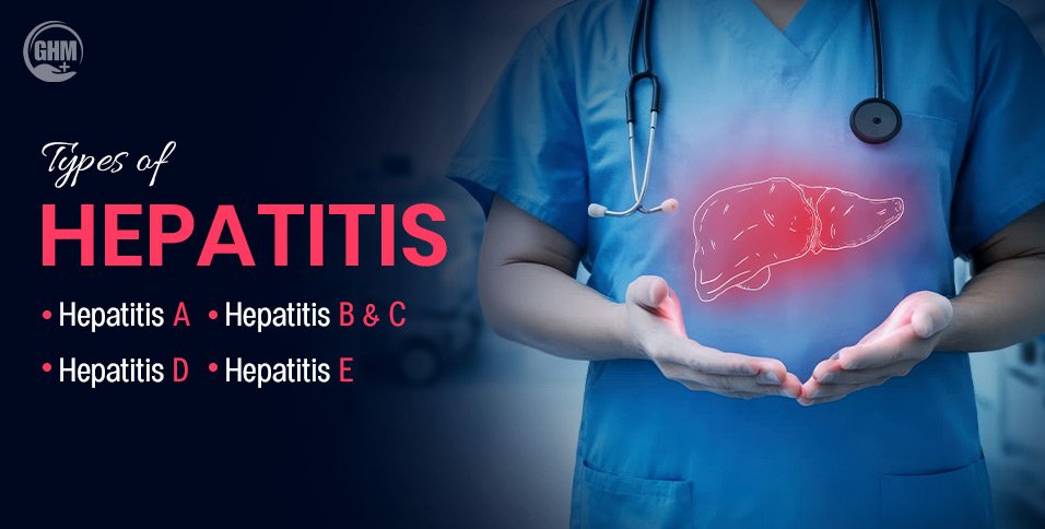 Types of Hepatitis