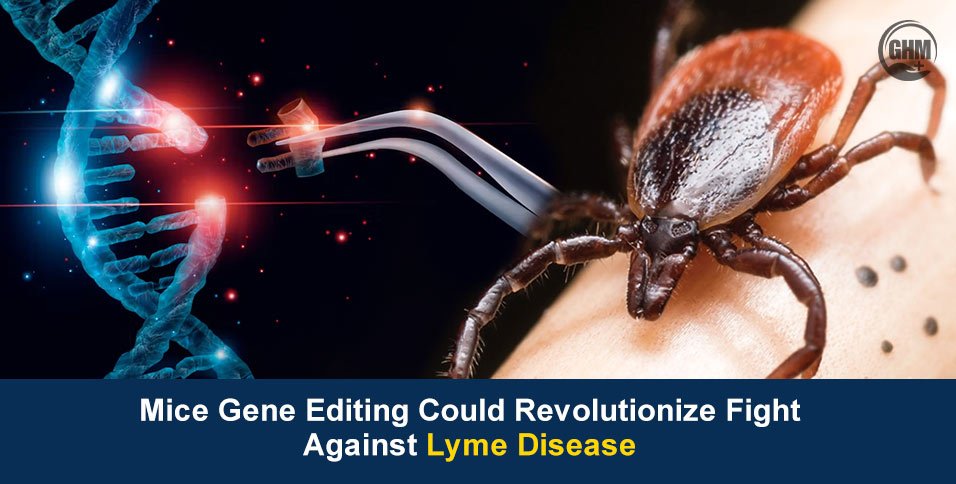 Lyme disease
