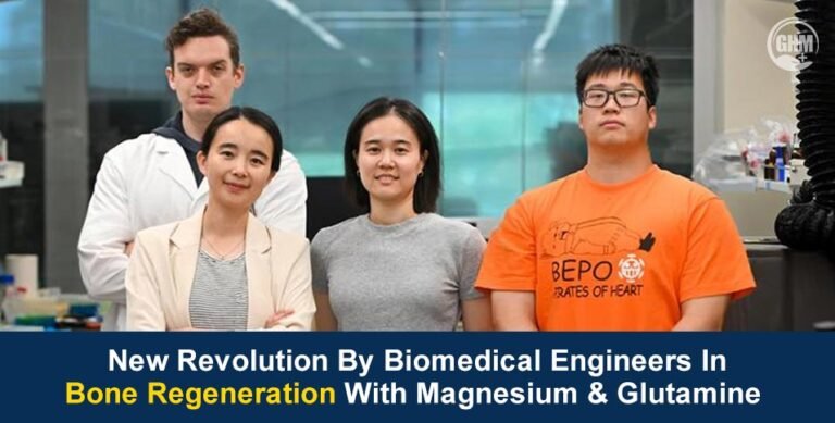 New Revolution by Biomedical Engineers in Bone Regeneration