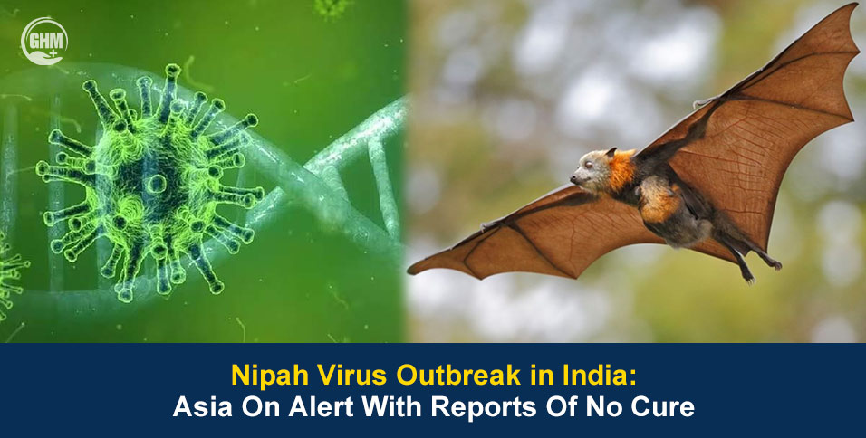 Nipah Virus Outbreak in India: Risks, Symptoms, and Global Alerts