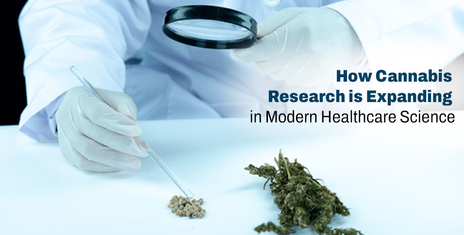 How Cannabis Research is Expanding in Modern Healthcare Science