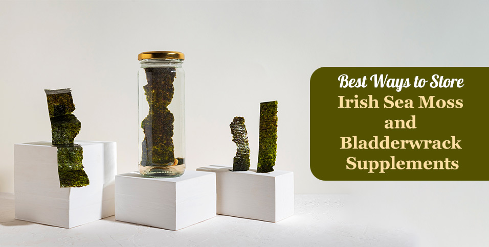 Best Ways to Store Irish Sea Moss and Bladderwrack Supplements