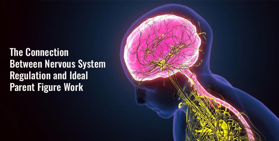 Nervous System Regulation