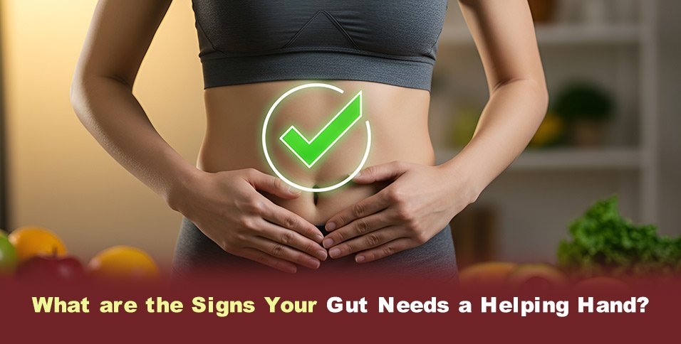 What are the Signs Your Gut Needs a Helping Hand?