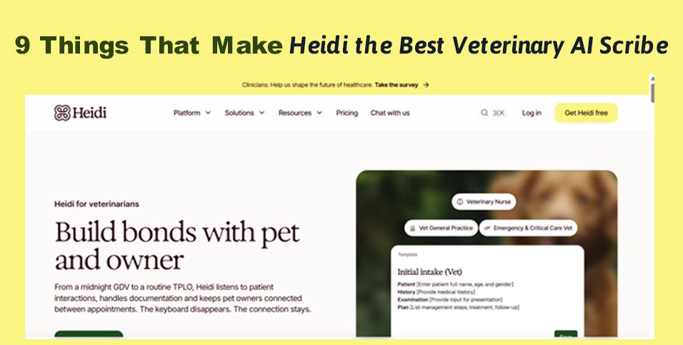 9 Things That Make Heidi the Best Veterinary AI Scribe