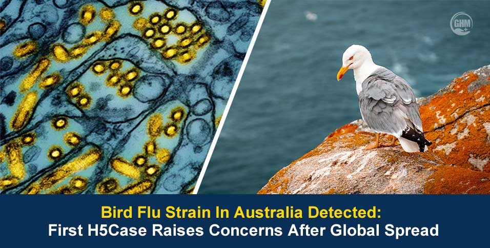 Bird Flu Strain In Australia Detected: First H5 Case Raises Concerns After Global Spread