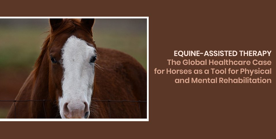 Equine-Assisted Therapy