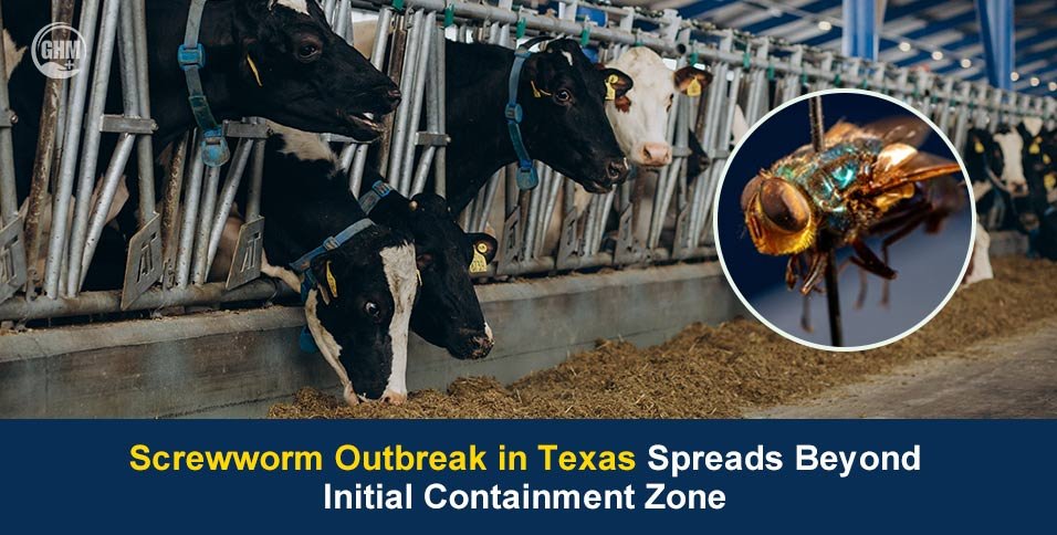 Screwworm Outbreak in Texas Expands as Cases Rise