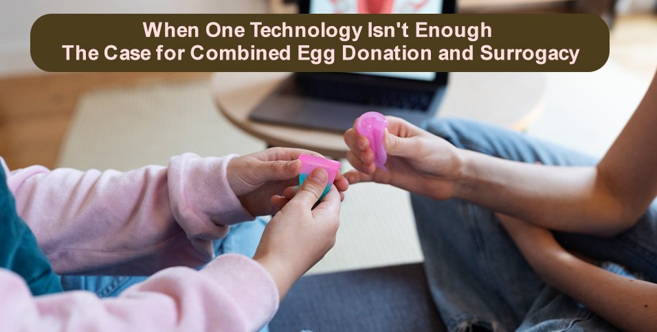 Combined Egg Donation and Surrogacy
