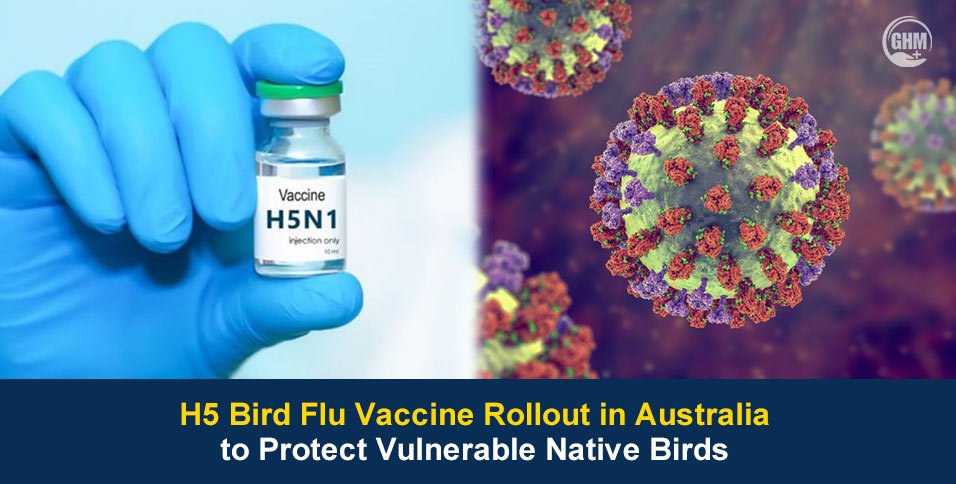 H5 bird flu Vaccine Rollout in Australia