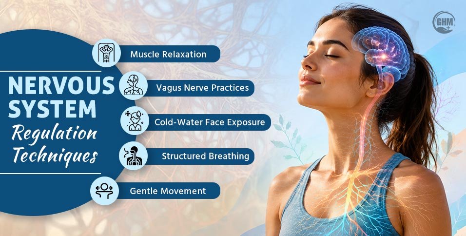Nervous System Regulation Techniques