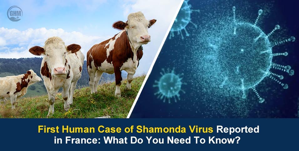 First Human Case of Shamonda Virus