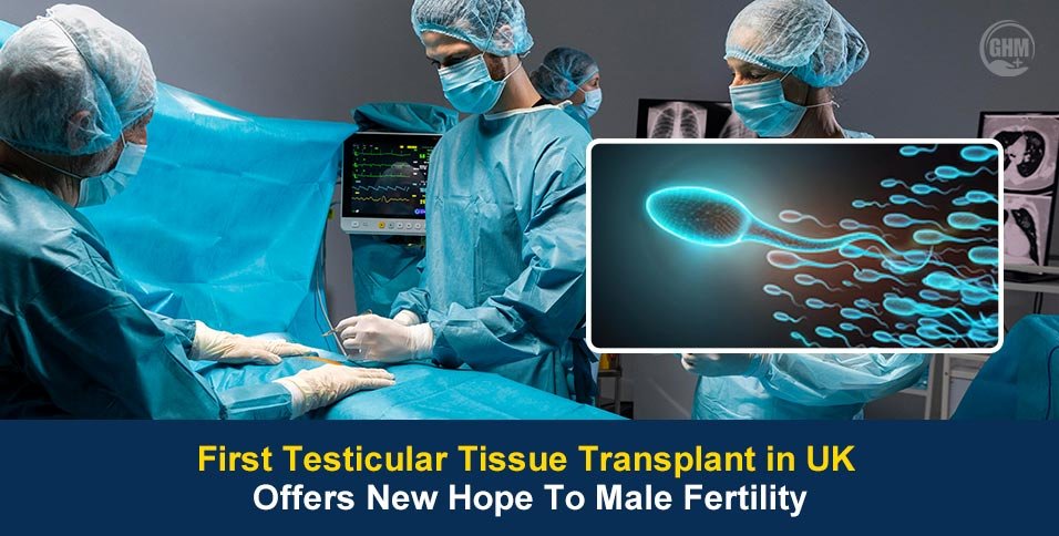 First Testicular Tissue Transplant in UK