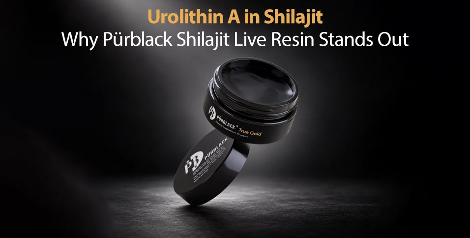 Urolithin A in Shilajit: Why Pürblack Shilajit Live Resin Stands Out